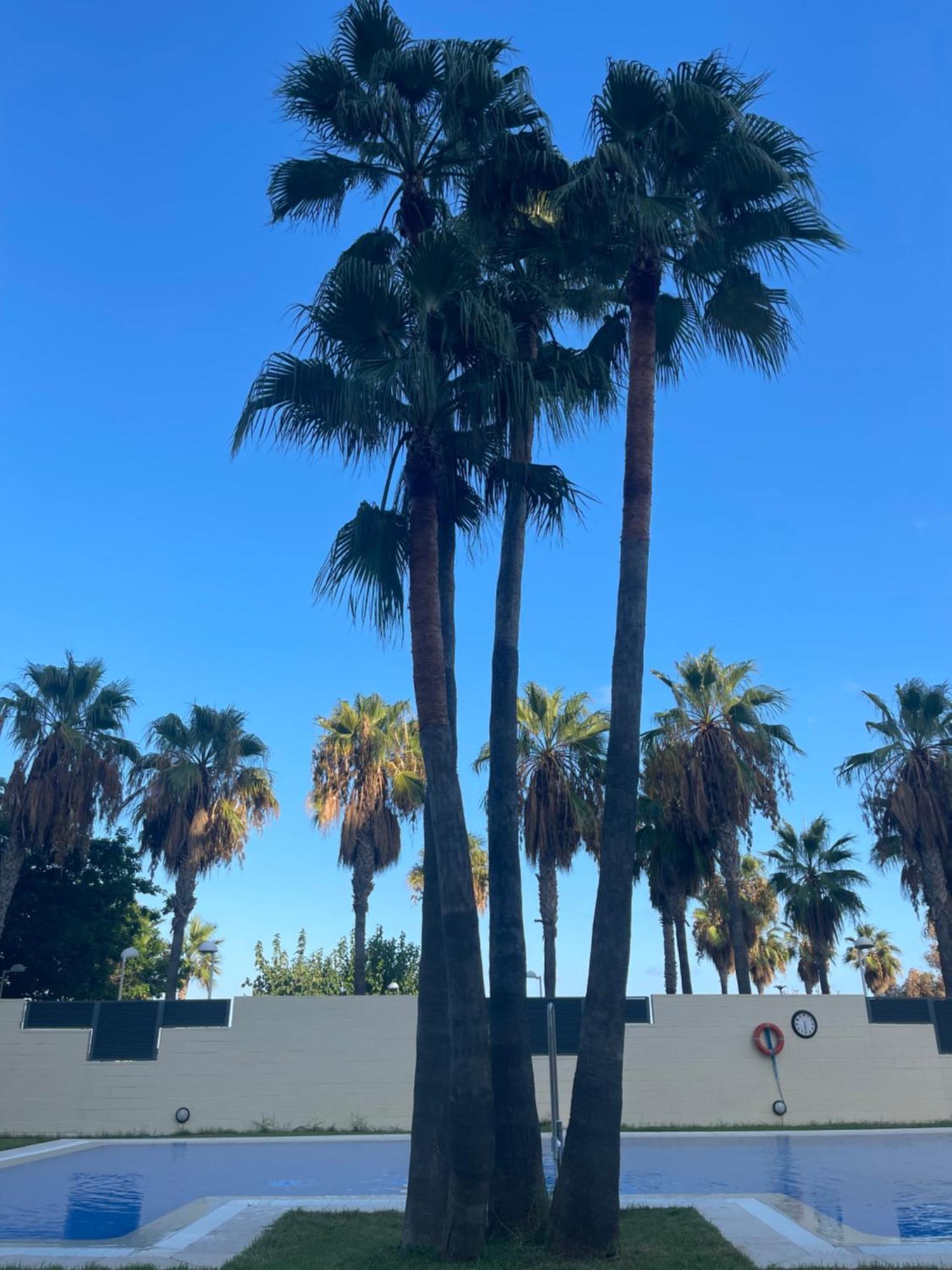 Las Terrazas - Primera linea de playa con Netflix Oropesa del Mar Exterior foto