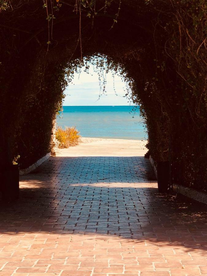 Las Terrazas - Primera linea de playa con Netflix Oropesa del Mar Exterior foto